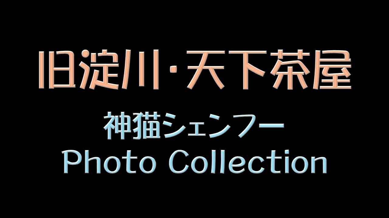 旧淀川・天下茶屋　神猫シェンフー　Photo Collection