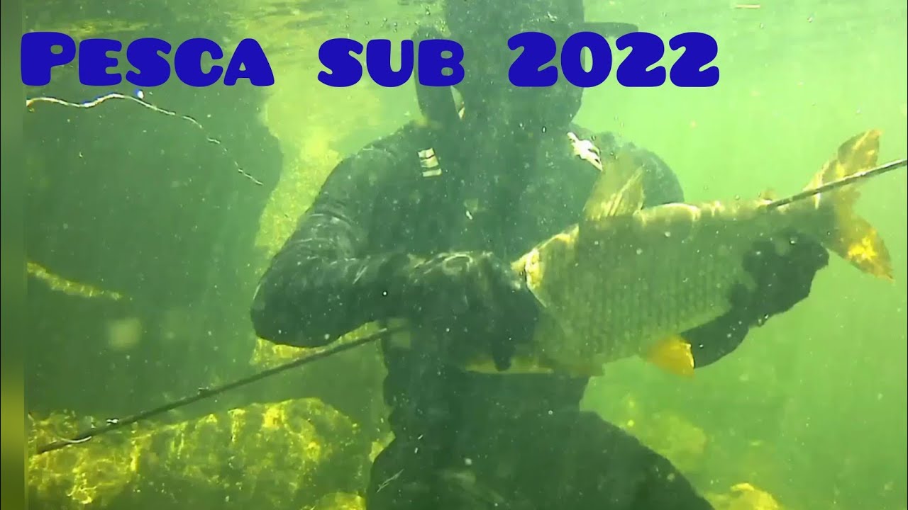 pesca sub 2022, NOVO EPISÓDIO PESCA SUBAQUÁTICA @laeltonpescasubamador8201