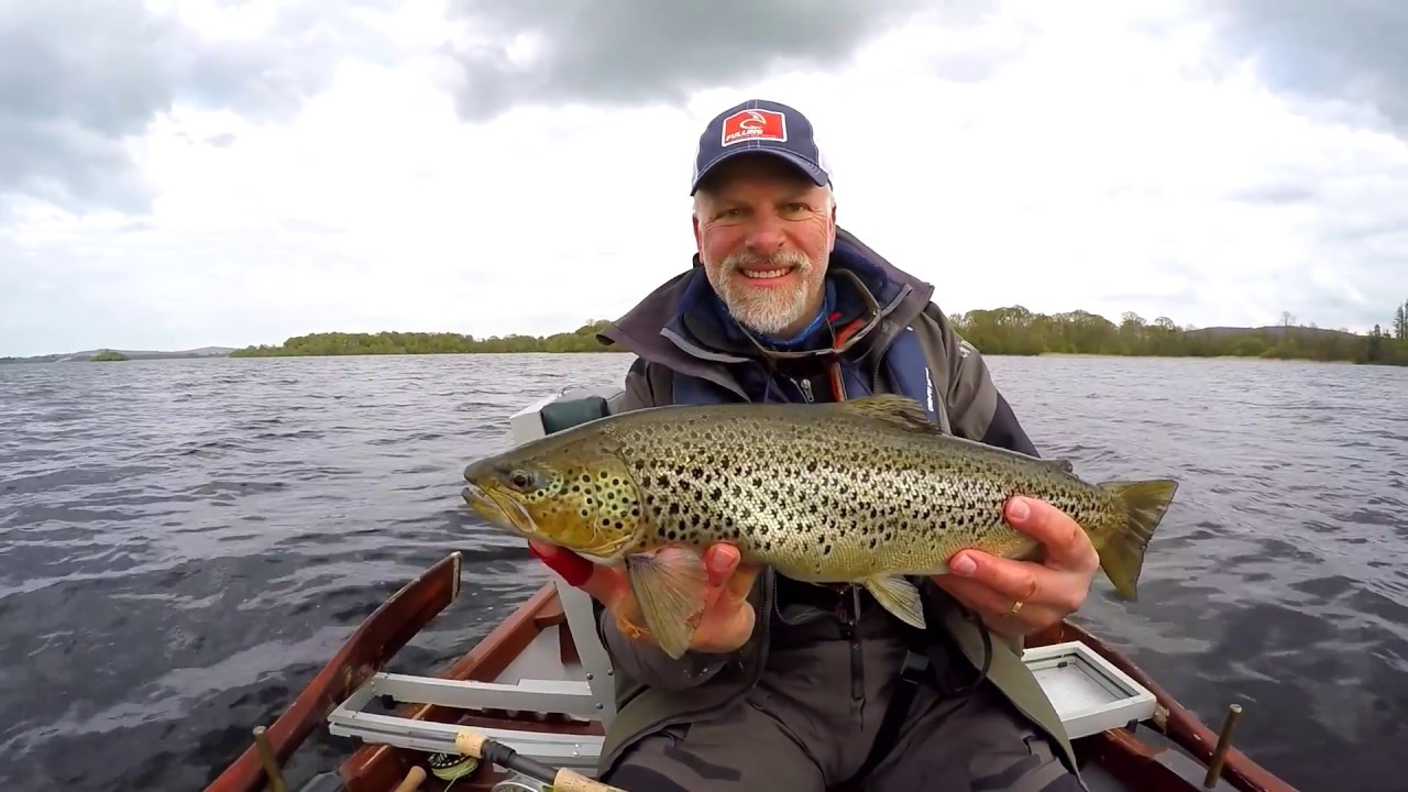 Guided fly fishing for wild brown trout on Lough Sheelin, Ireland