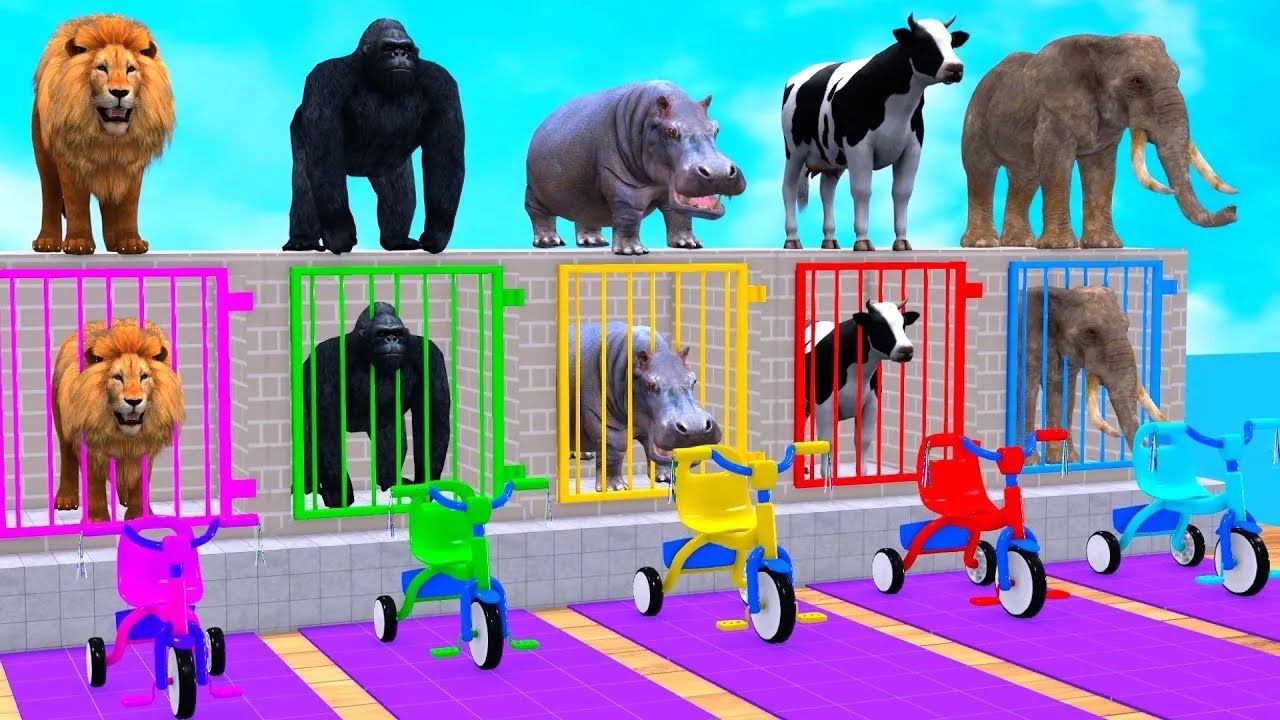 Long Slide Game With Elephant Gorilla Buffalo Hippopotamus Tiger - 3d Animal Game - Funny 3d Animals