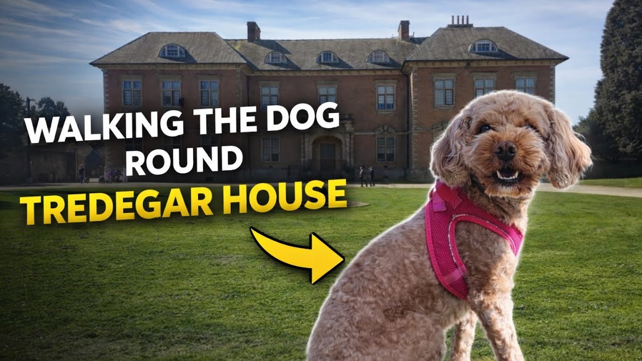 Perfect Dog Day Out at Tredegar House 🐾 | Relaxing Walk in Wales