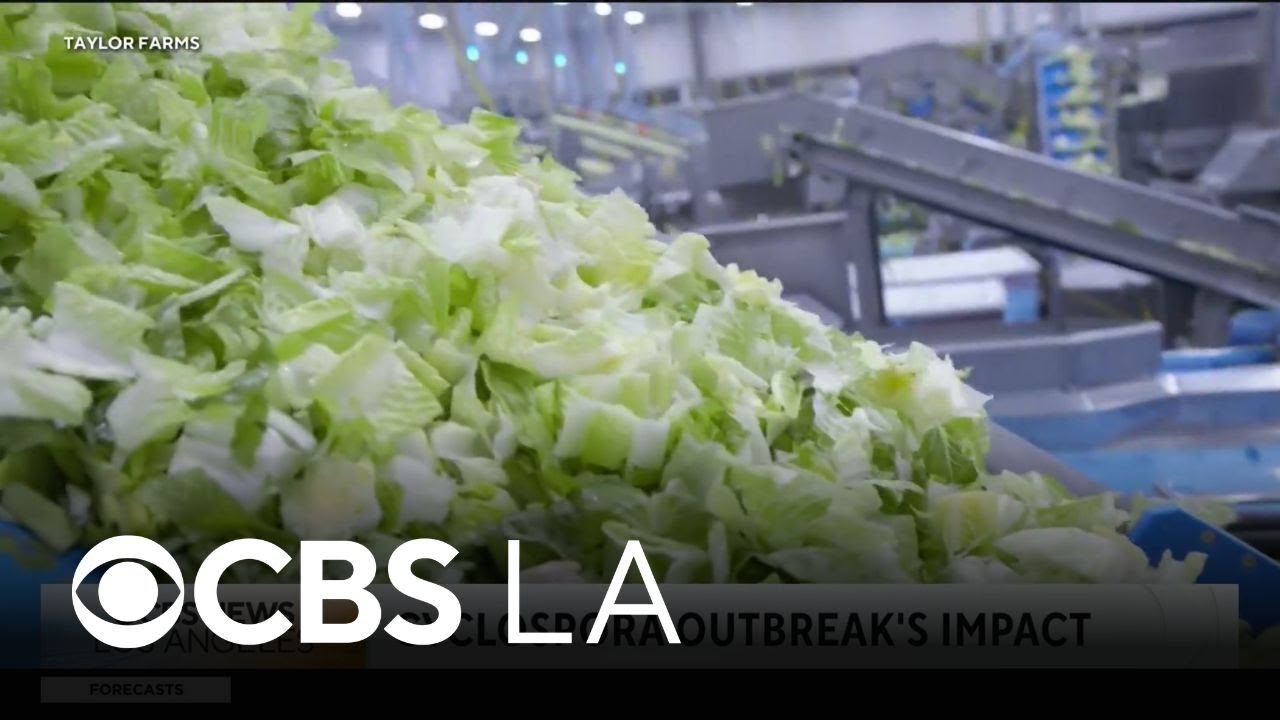 FDA investigates Taylor Farms amid cyclosporiasis outbreak