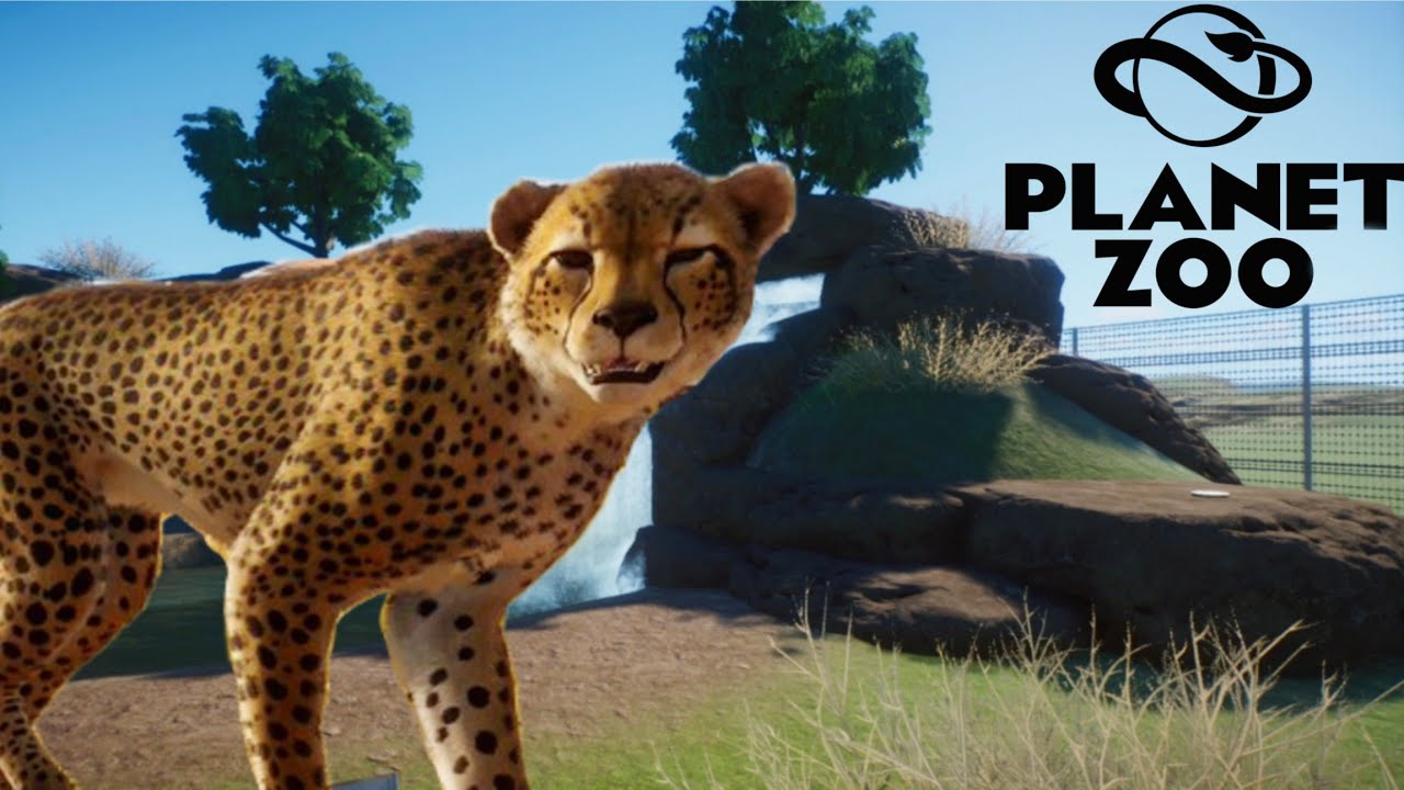 Planet Zoo Habitat Guepardo #1 [Sandbox]