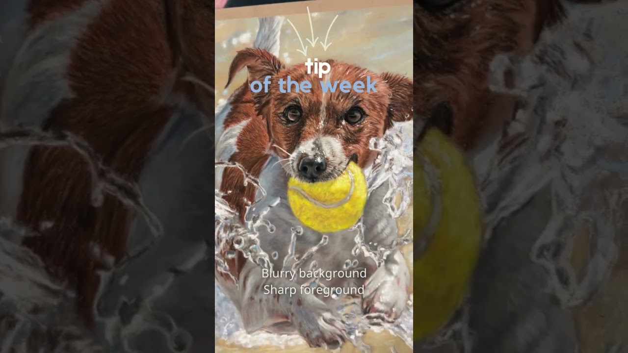 Quick Art Tips (Plus a Free Pastel Basics Beginners Series!)    