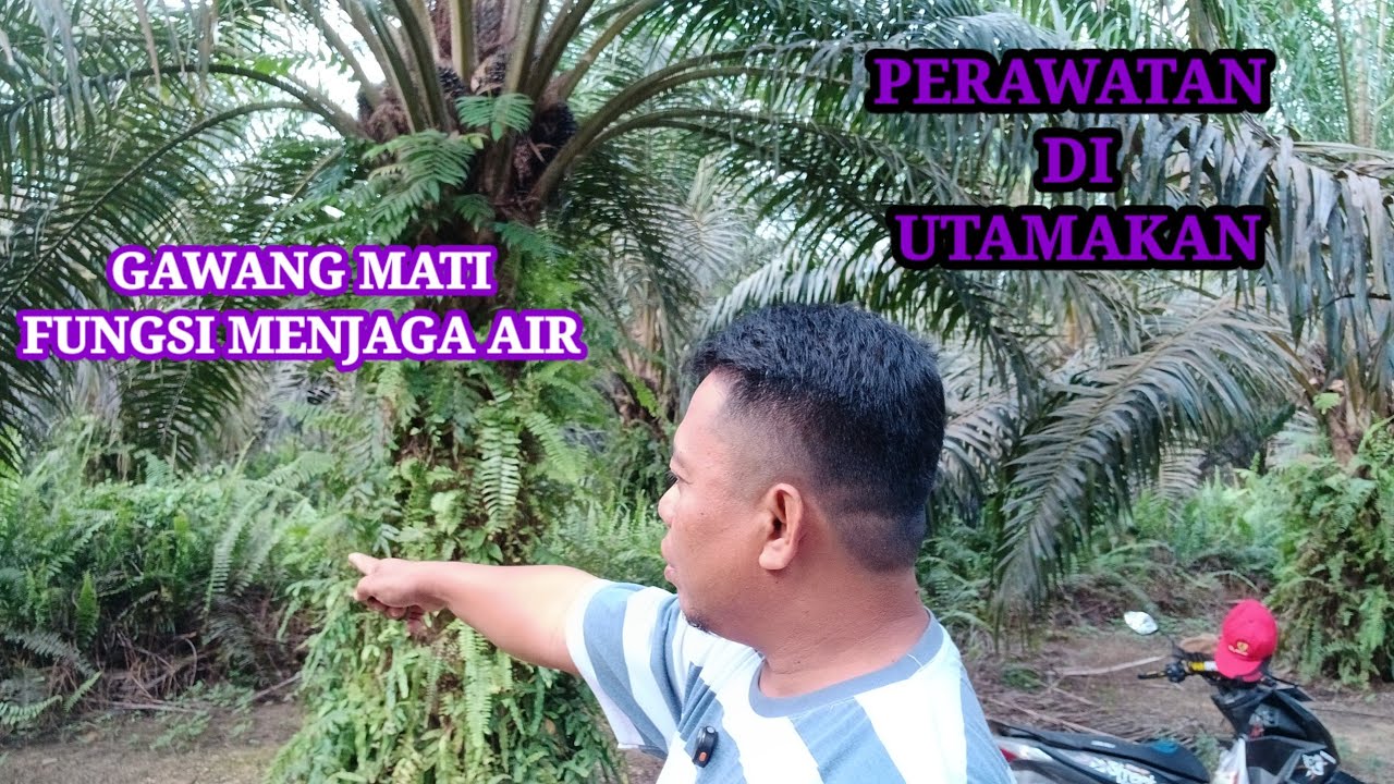 Perawtan paling benar dan tepat untuk menjagak kesuburan tanah