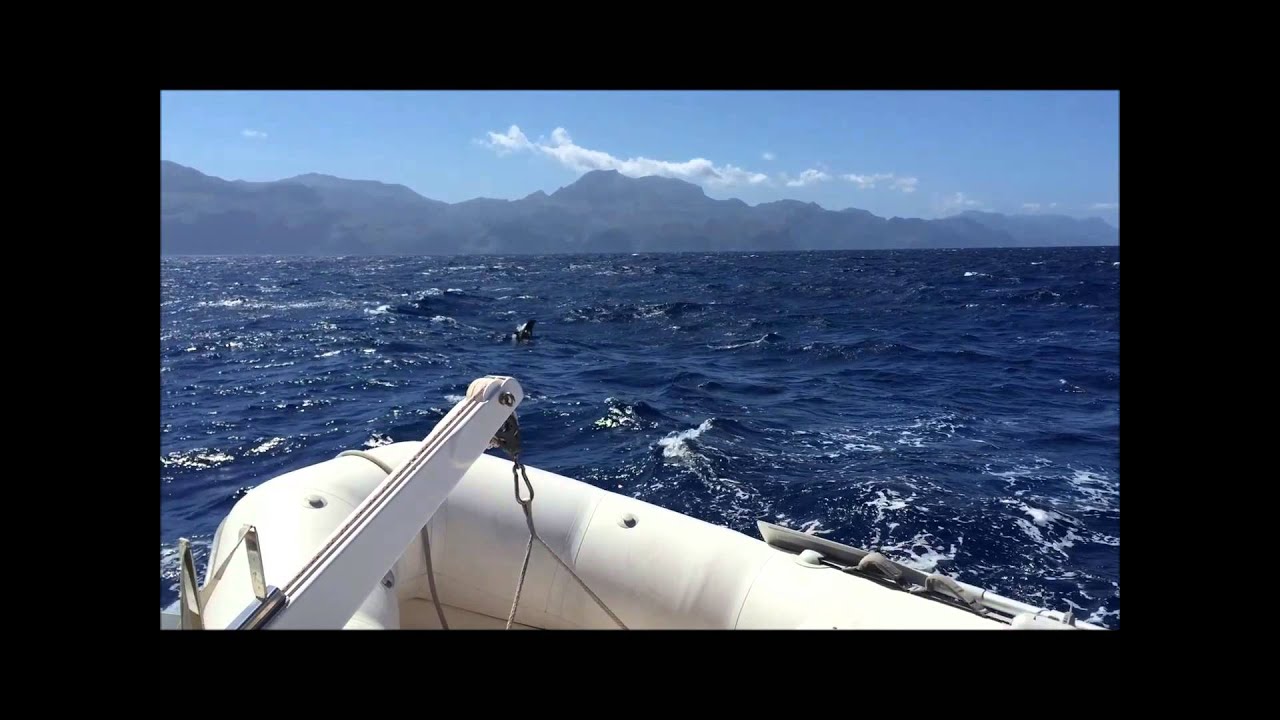 Sailing around Mallorca 2015