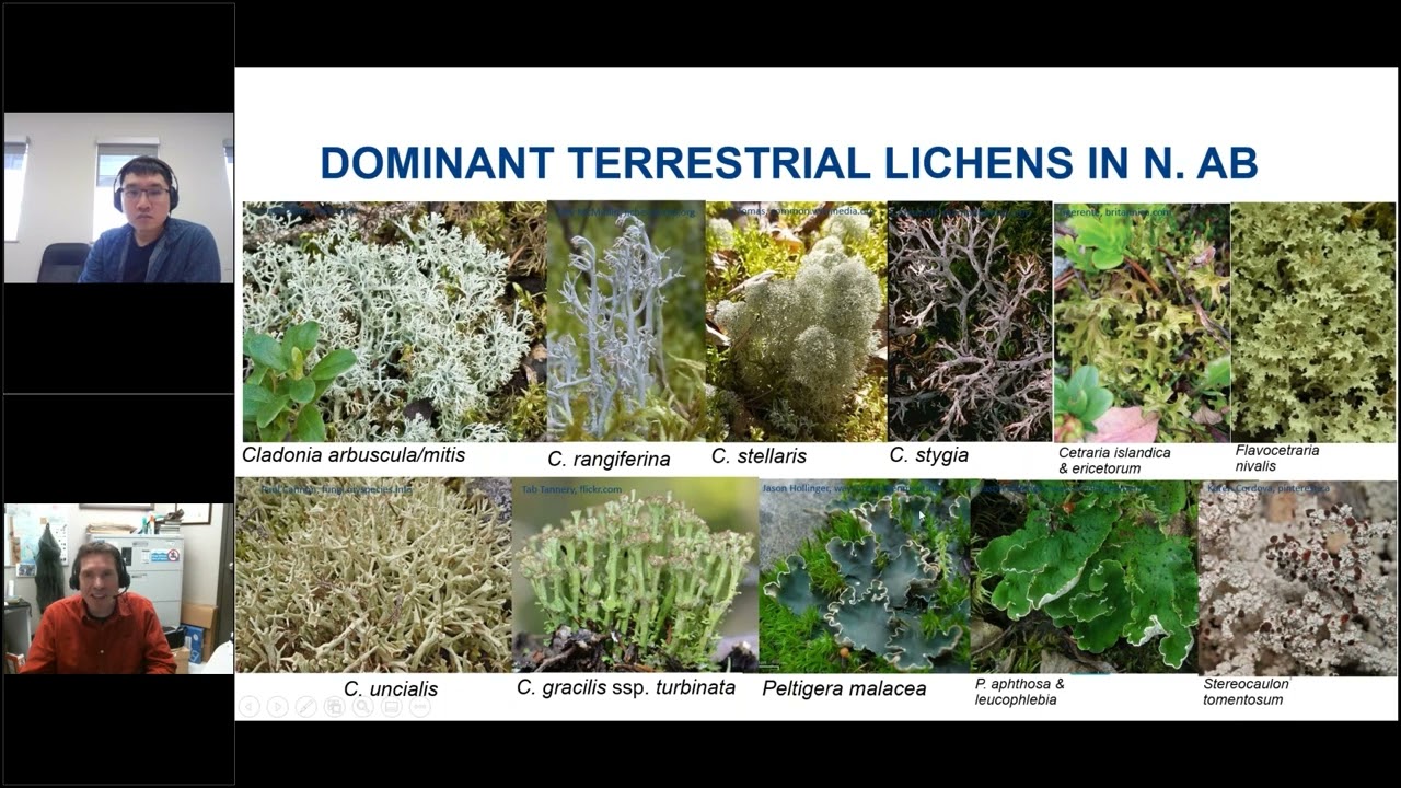 A Review of Lichen Transplant Studies and Methods | ARCKP Webinar #4