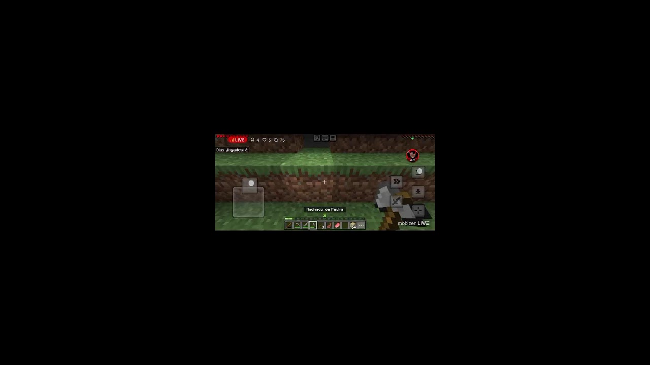 jogando Minecraft com vcs