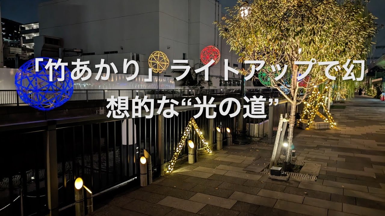 「竹あかり」ライトアップで幻想的な“光の道”