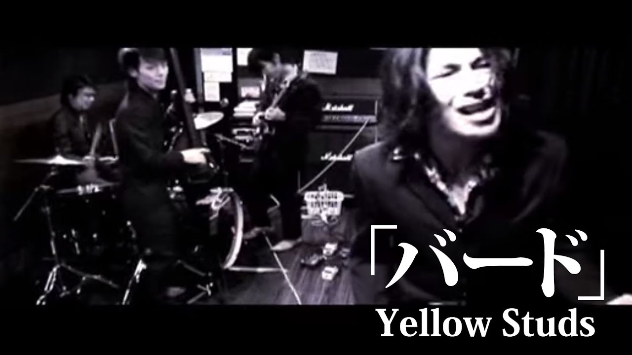 YellowStuds  バードPV