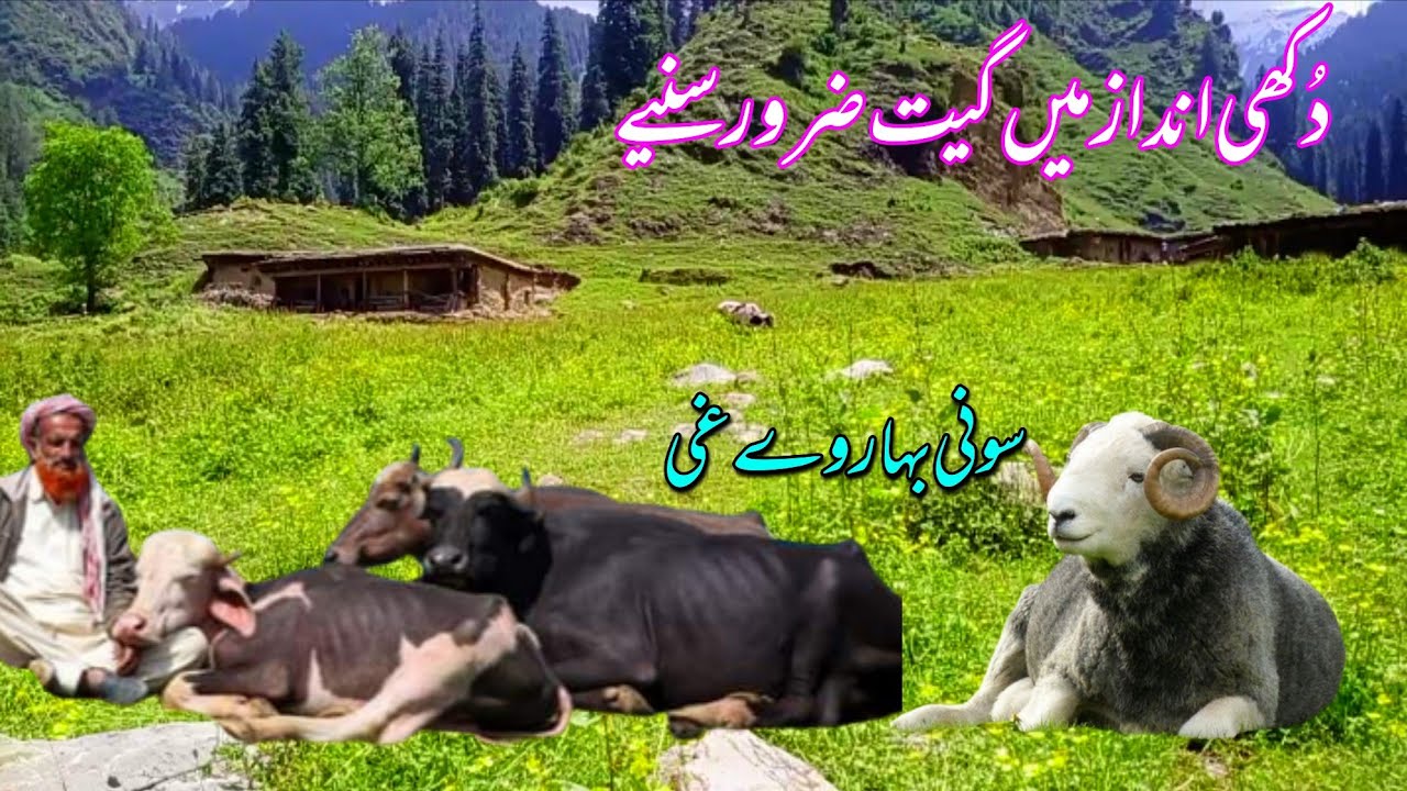 ☘️Gojri new song 2023,Awaz Safeer naz, Gojri song dukhi gojri pahari song,latest pahadi Gojri song☘️