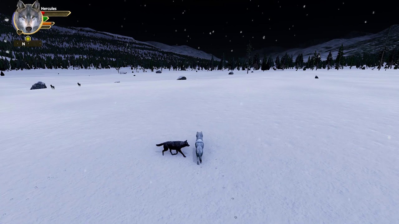 Wolf Quest Annversary Edition SE:2    EP:1