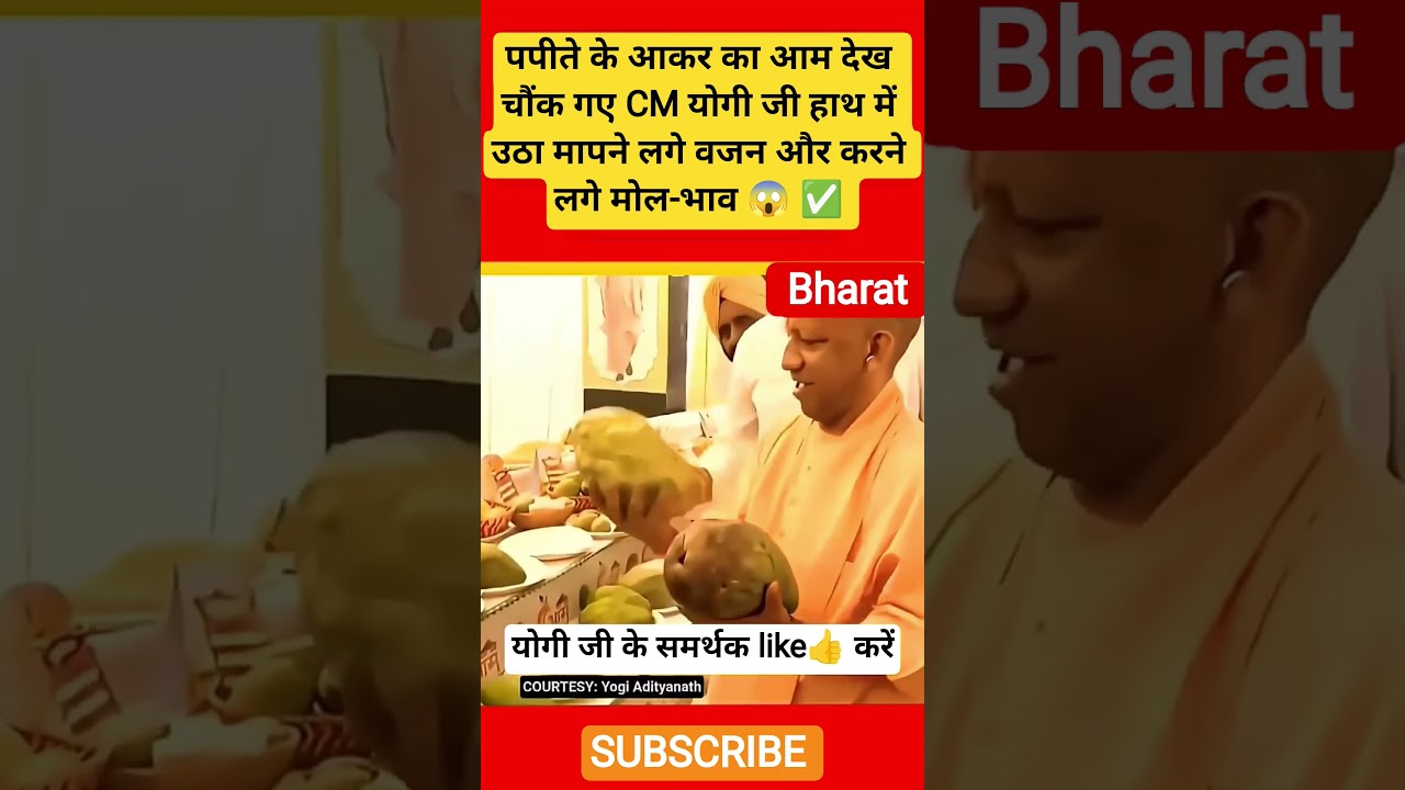 CM Yogi was shocked to see a papaya-sized mango, picked it up and started measuring its #viralvideo✅