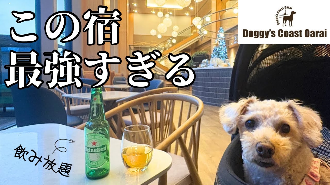 フリーフローで贅沢三昧なドギーコースト大洗がヤバすぎた