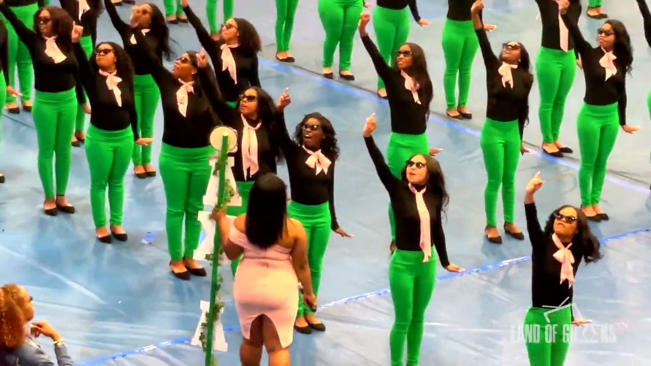Alpha Psi Chapter of Alpha Kappa Alpha Probate 22' at Tennessee State University