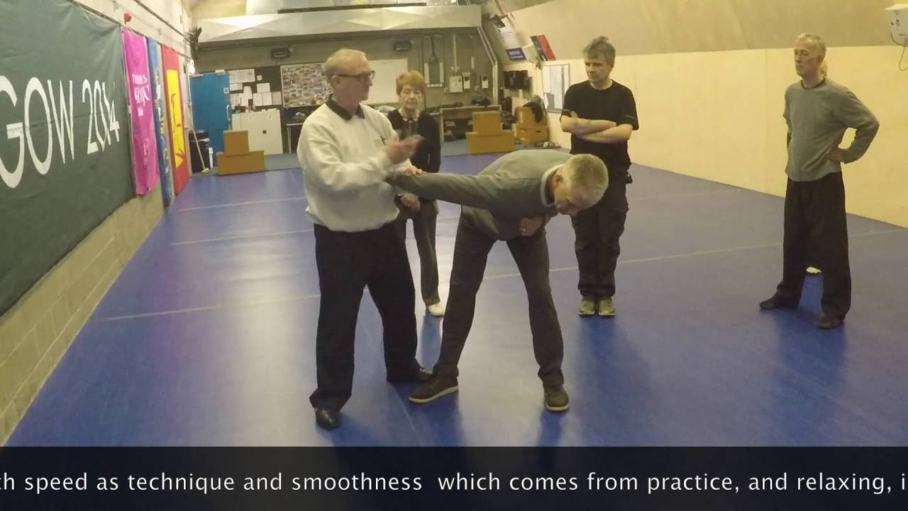 Ian Cameron class clip , (Five Winds School of Wu Cheng Tai Chi Chuan)