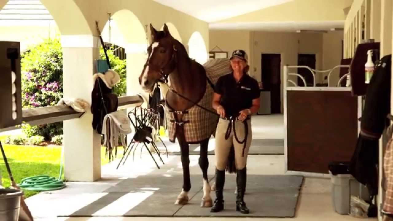 Beezie Madden on Ration Balancing Feed