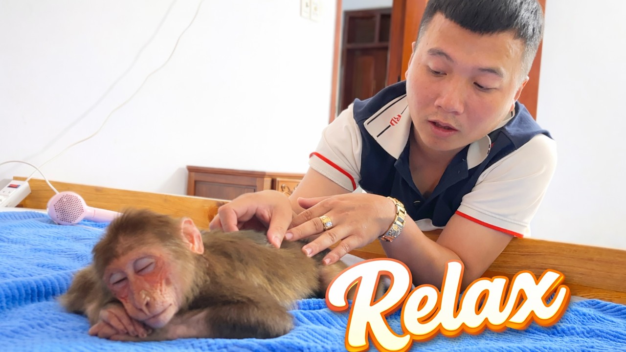 Stress Relief with Cubis   Calm Bath and Soft Massage Routine 🌿🐒