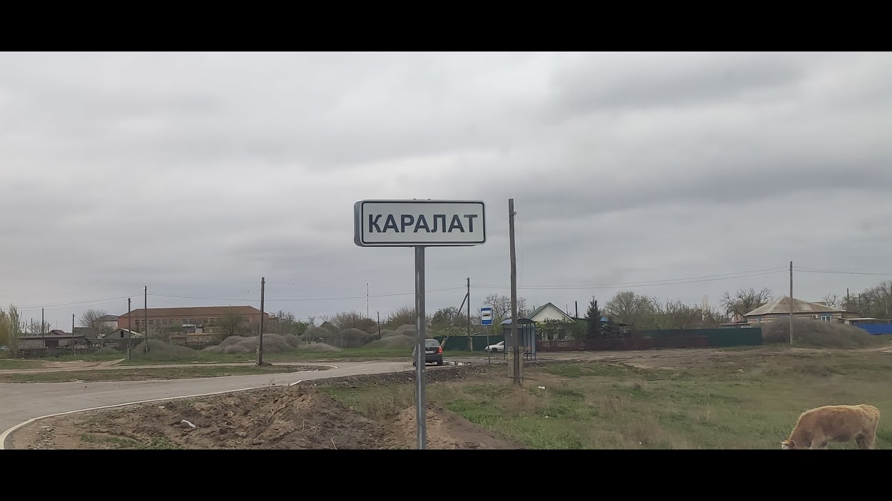 Вобла 2023. Каралат