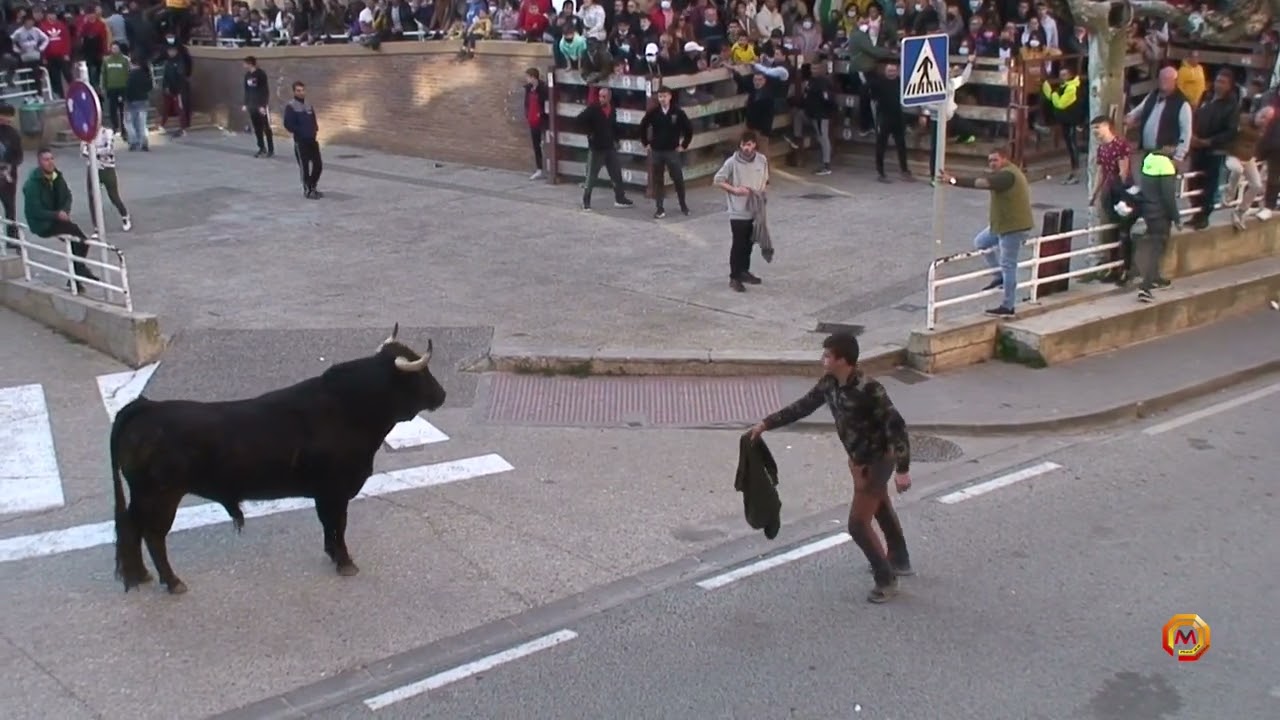 Tv San Adrián - 27/02/2022 - Encierro