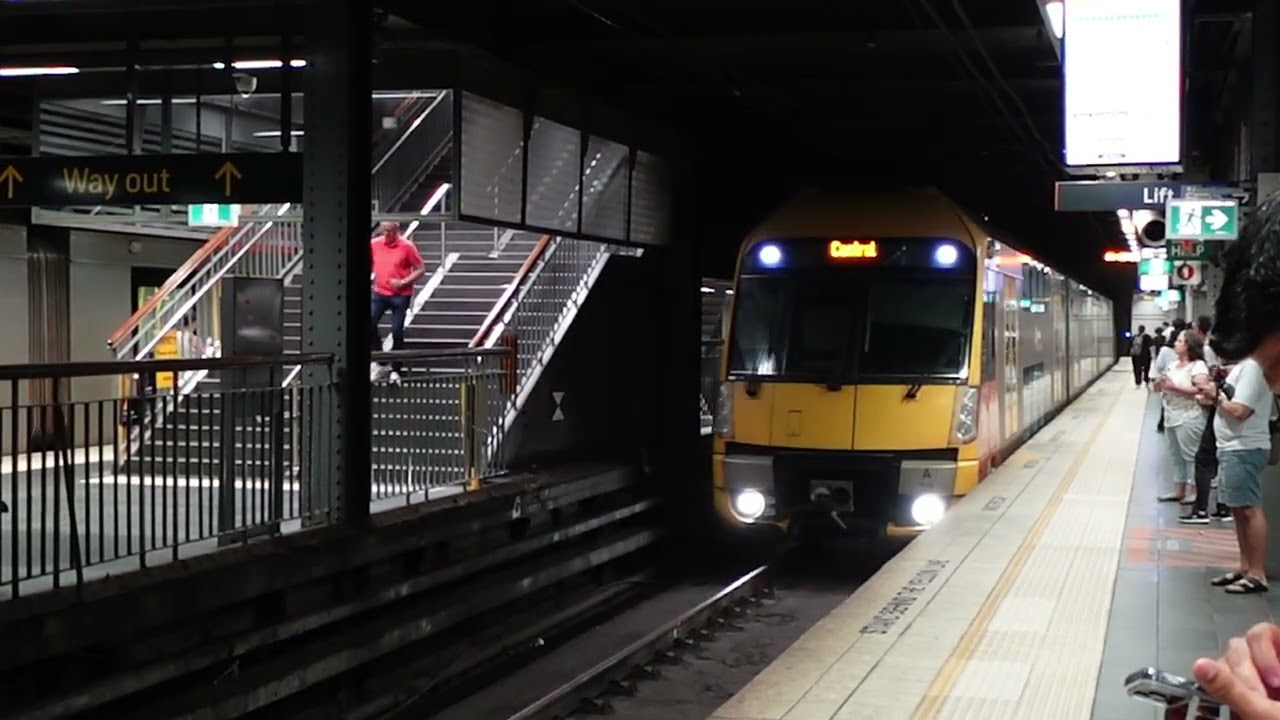시드니 트레인 와라타 A set 타운홀역 진입 영상 Sydney train A set enters at Town Hall station