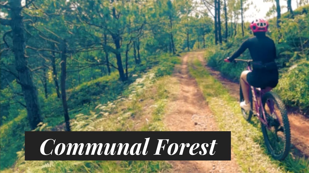 Beginner Trails are Fun (Communal Forest, Puguis La Trinidad)