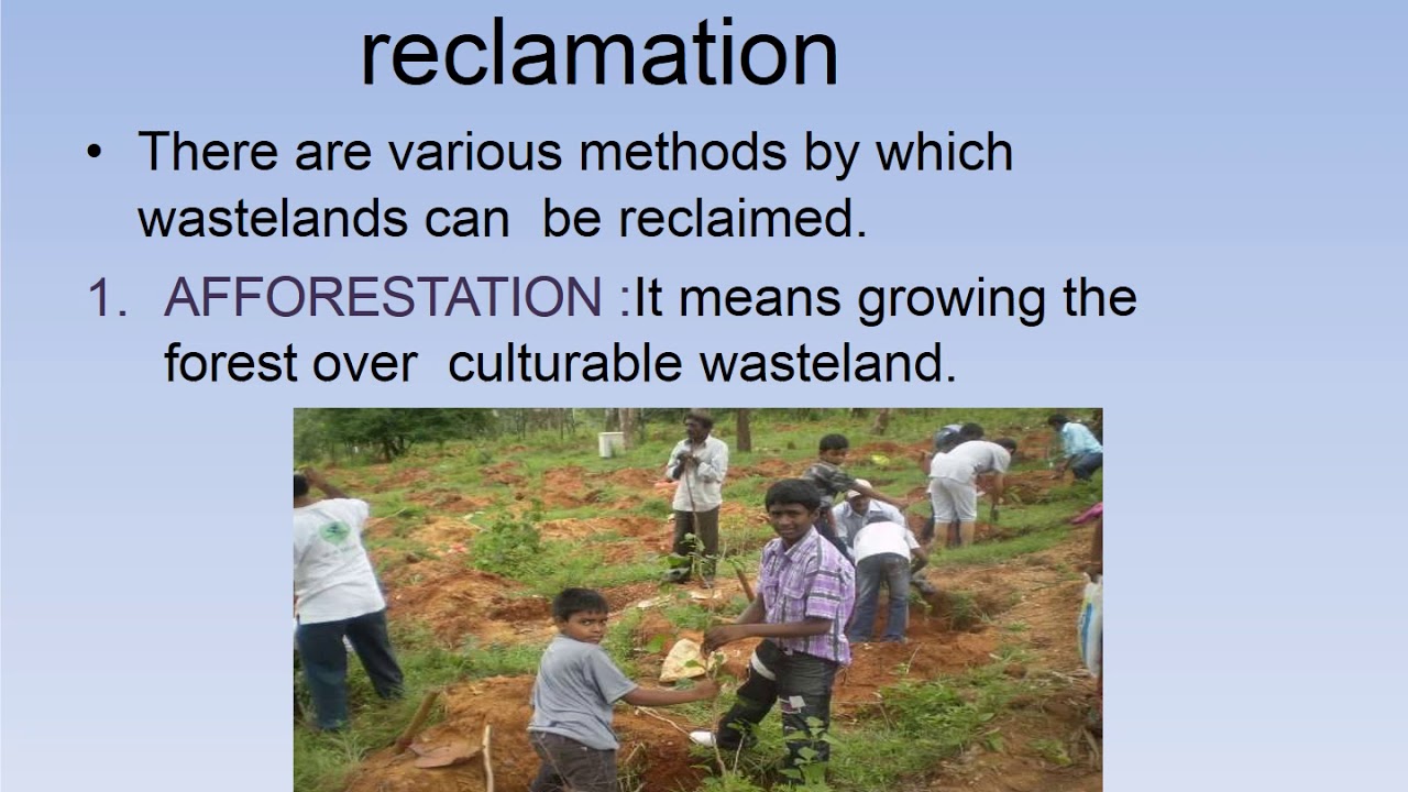 Wasteland Reclamation