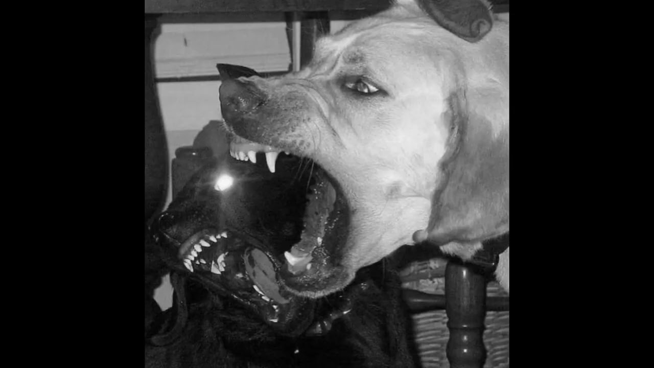 21 Savage Type Beat | WHTTS Type Beat - Jetski