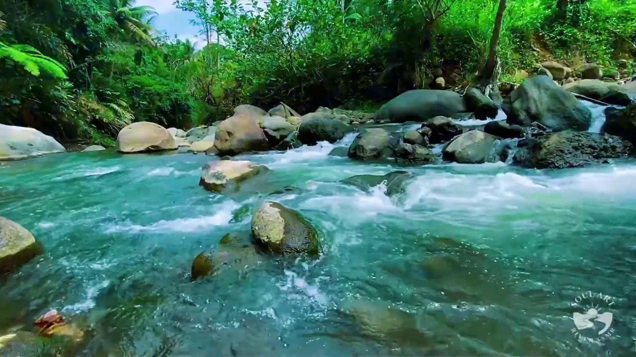 River Sounds & waterfall Sounds for Sleeping | Nature Stream for Relaxing & Stress Relief. #river 5
