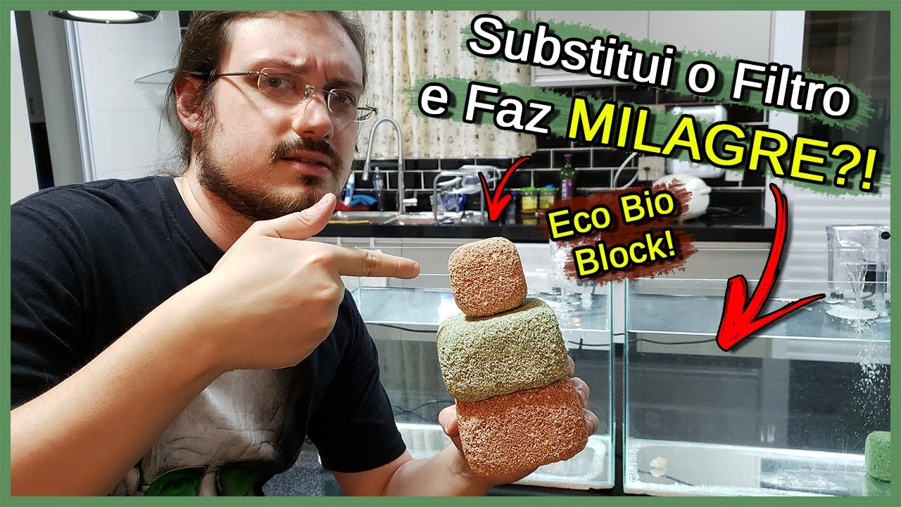 Essa Pedra substitui o FILTRO do Aquário e faz MILAGRE?! - Eco Bio Block