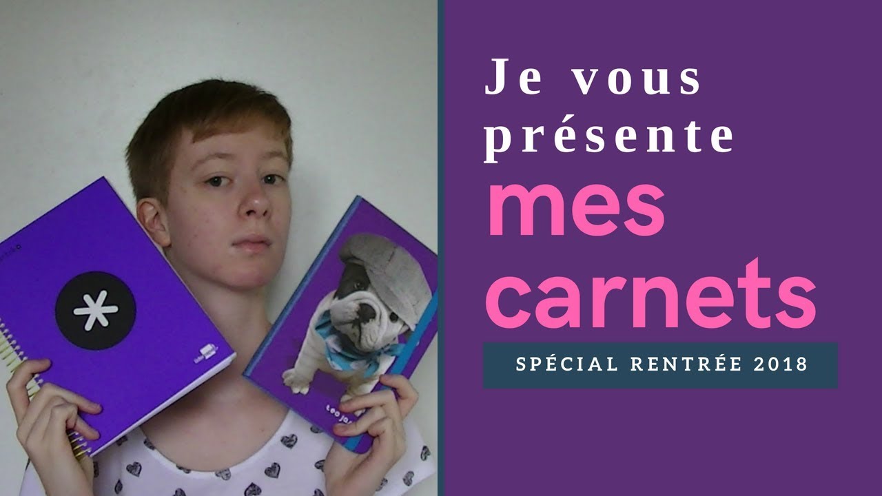 Je vous présente MES CARNETS