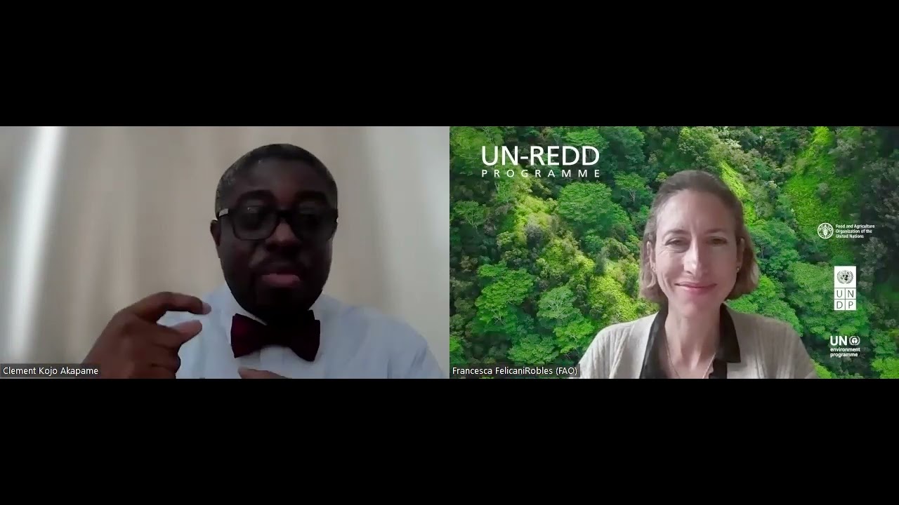 Carbon rights in the context of jurisdictional REDD+: Clement Akapame' s expert insight
