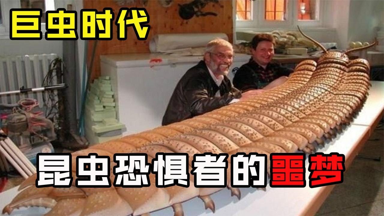 曾統治過地球的恐怖生物：揭秘遠古巨蟲時代兩大霸主和他們的天下！
