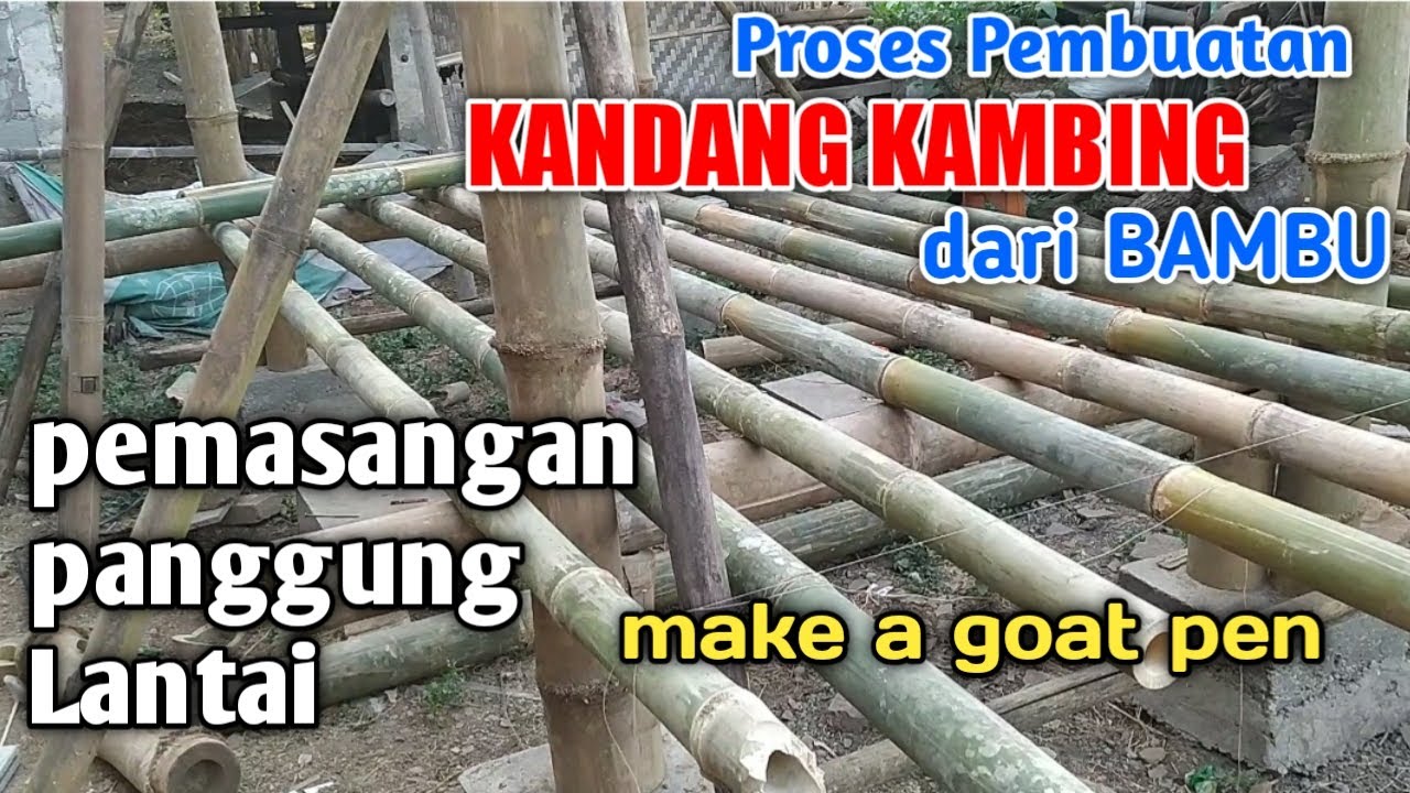 Kandang Kambing dari Bambu /Proses Pembuatan Kandang Kambing // Tahap pemasangan Panggung Lantai