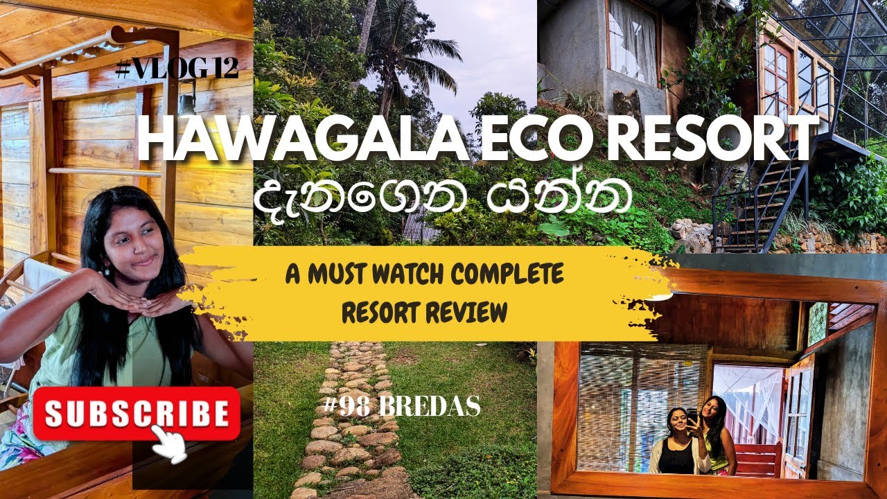 HAWAGALA ECO RESORT එකේ අලුත්ම CABANA එක 🏠 අපිට ගියපු සම්පුර්ණ වියදම🏊‍♀️ NATURAL POOL EXPERIENCE එක🍹