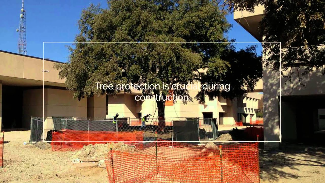 Preservation Tree: How we care for your urban trees.