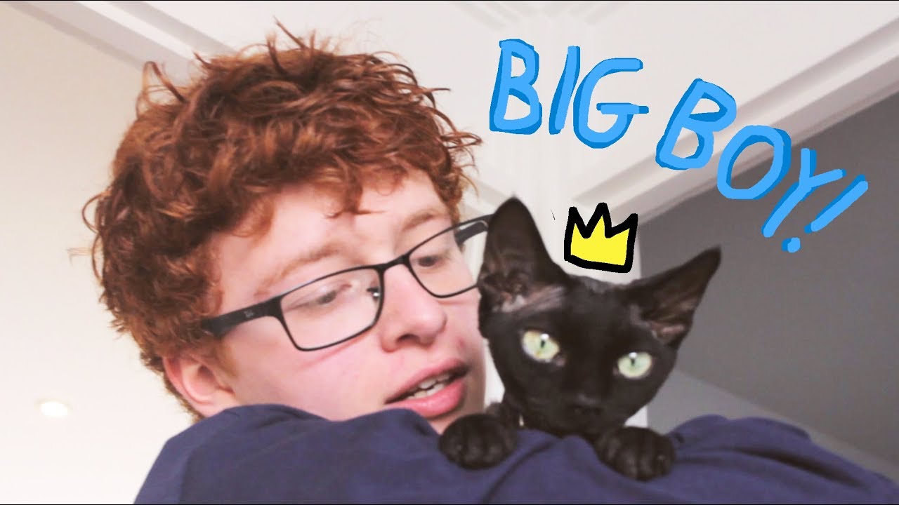 Happy 1st Birthday Fig!