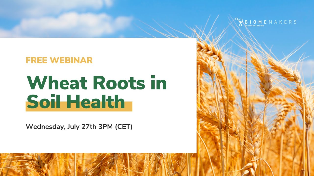 Webinar 2022 | Wheat Roots in Soil Health