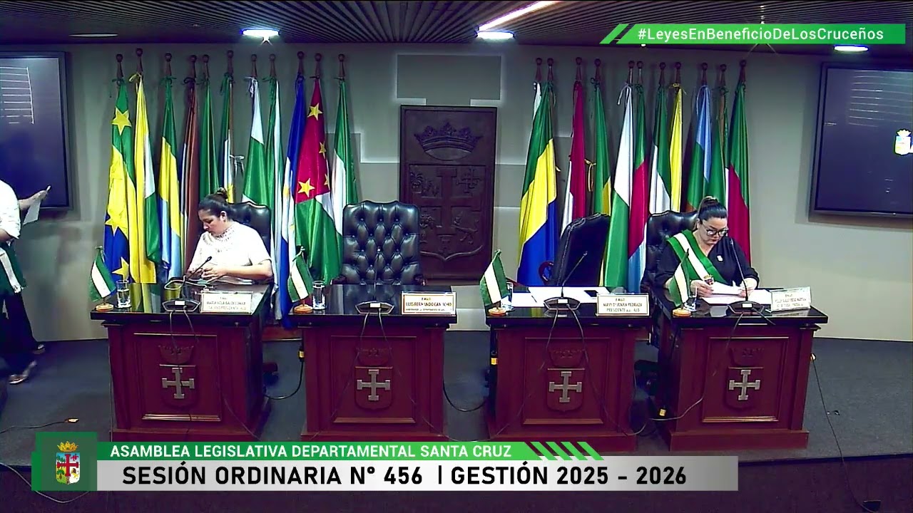 DESARROLLO DE LA SESIÓN Nr. 456