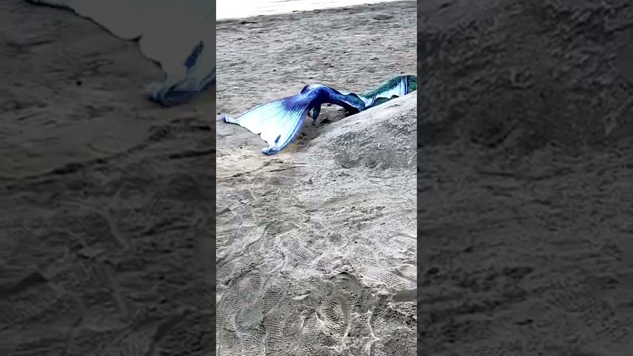 Real Mermaid Found on the Beach at Local Lake 🤯 JK I made this!