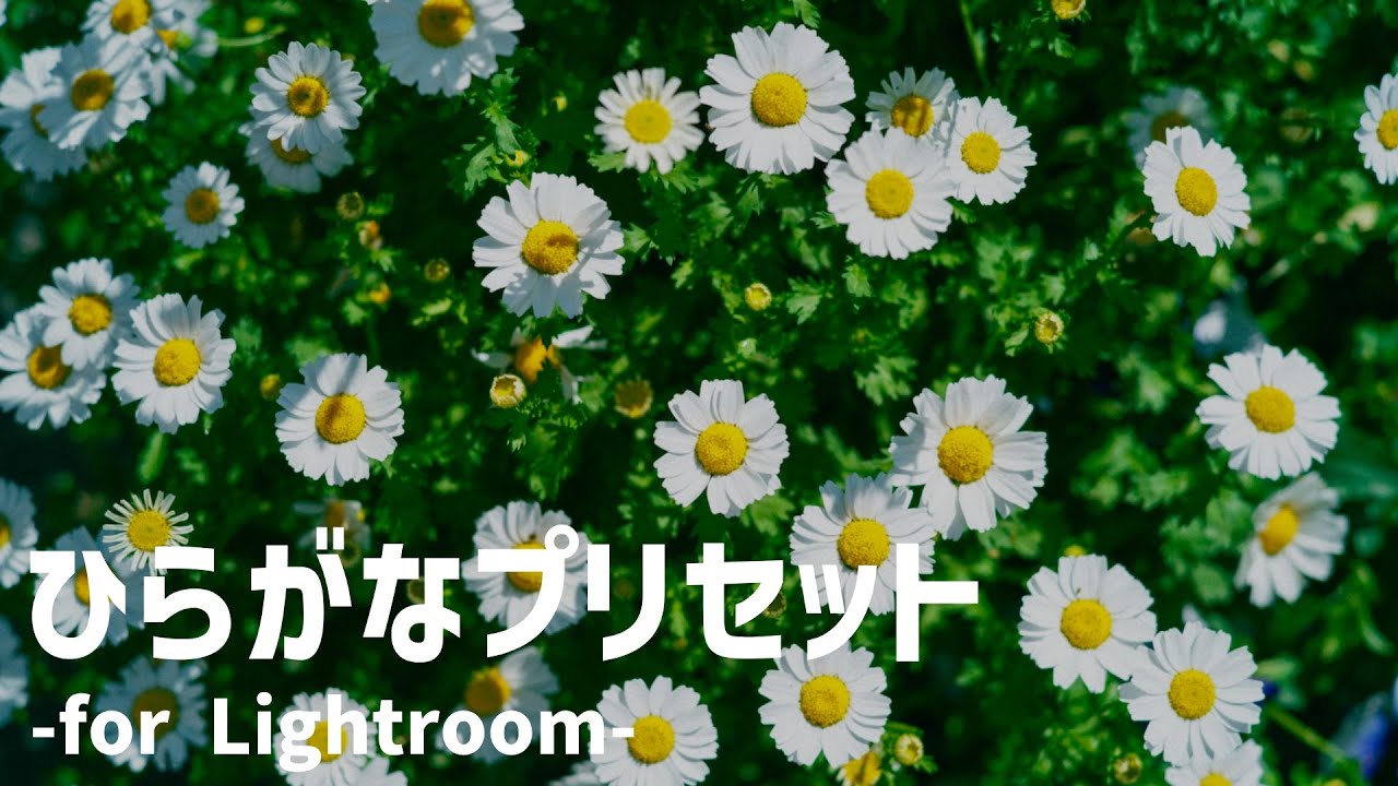 【プリセット】ひらがなプリセット-for Lightroom-をリリースしました
