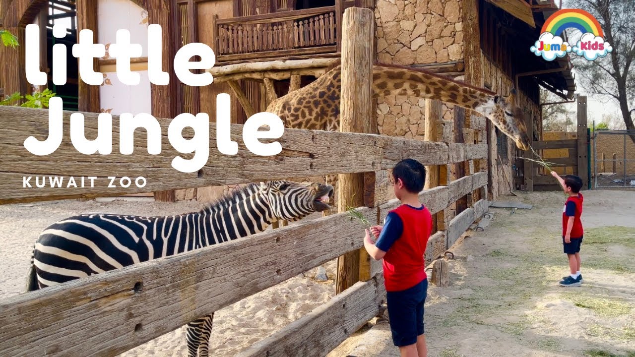 Little Jungle Kuwait Zoo