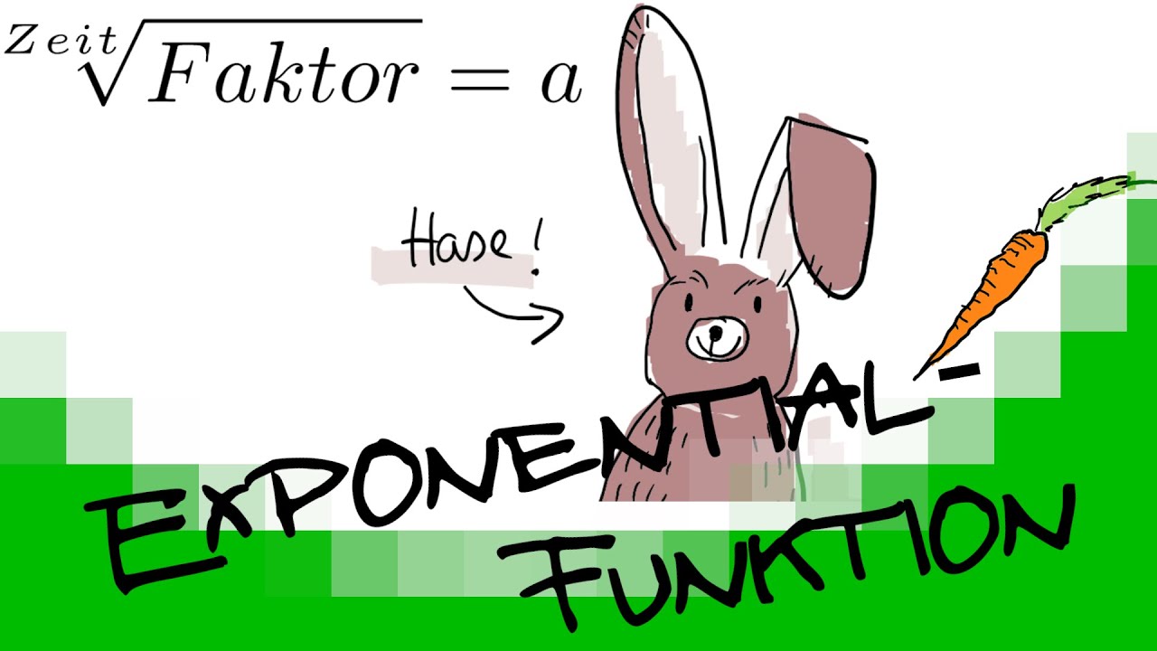 Exponentialfunktionen modellieren