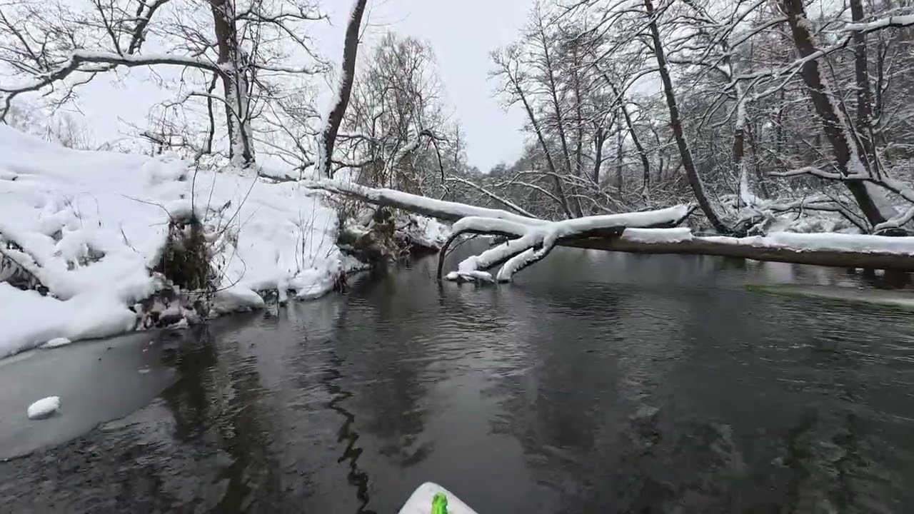 Зимний фестиваль на р.Вашана - Идиотулец 02.01.2026г.