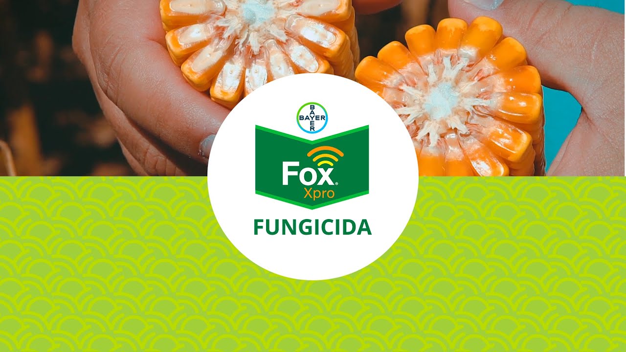 Fungicida Fox® Xpro | Bayer 🌽