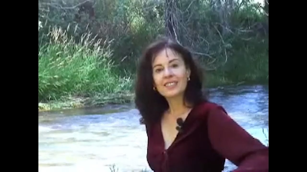Think Yourself Thin   Debbie Johnson