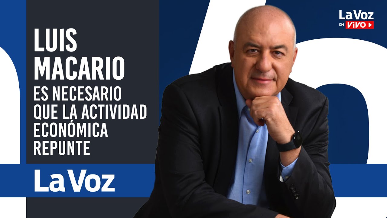 LUIS MACARIO: La INDUSTRIA no tiene que tener PROTECCIÓN, pero sí DEFENSA