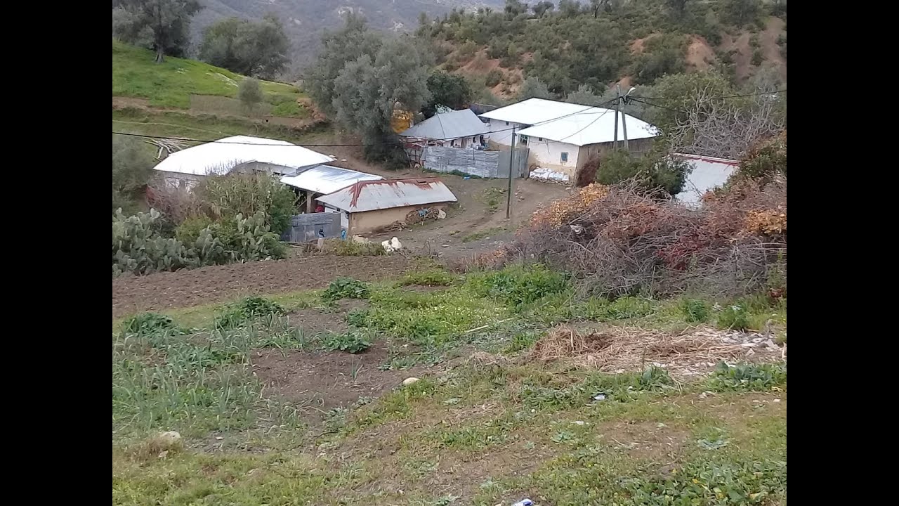 دوار البرانة  قبيلة اغزاوة  جماعة مقريصات  إقليم وزان   2