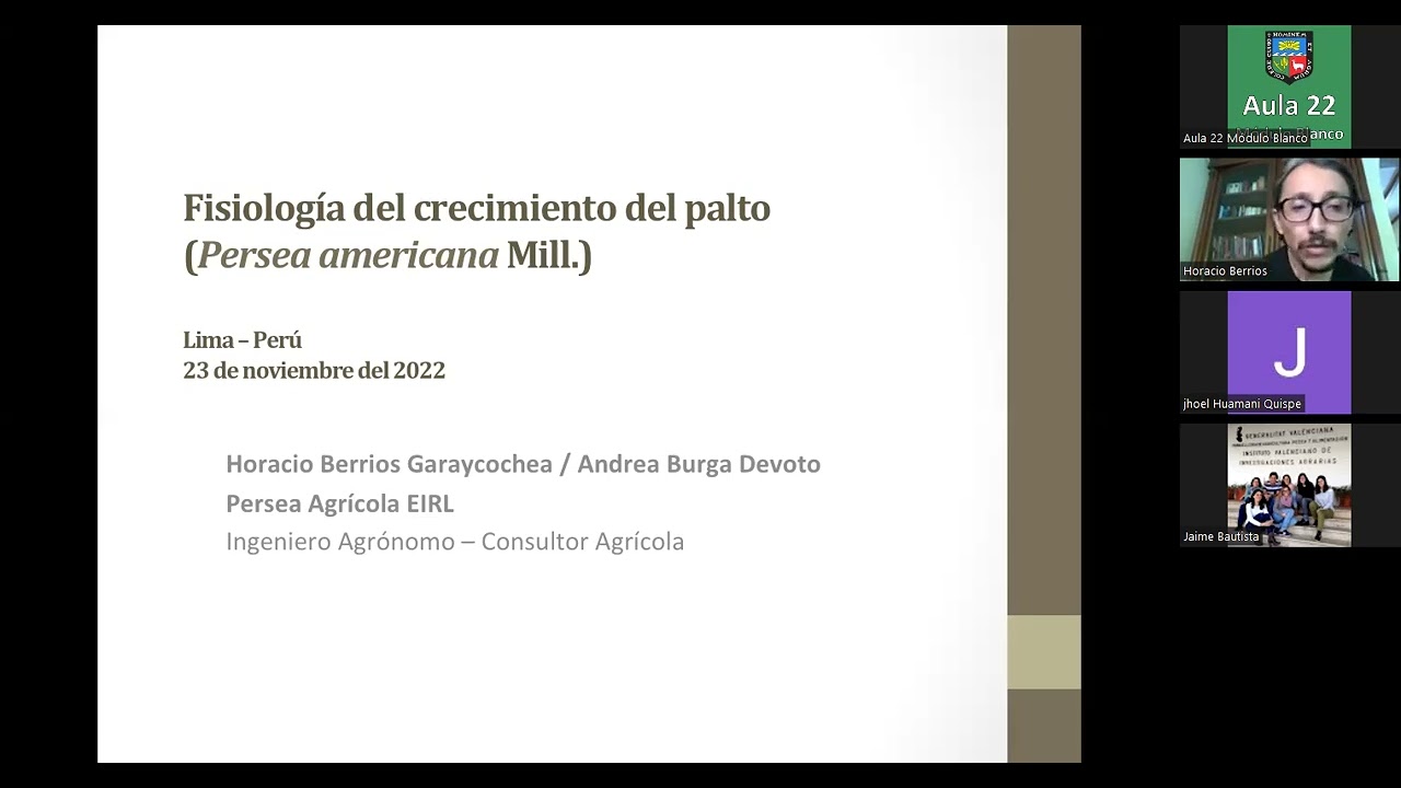 Fisiología del crecimiento del palto