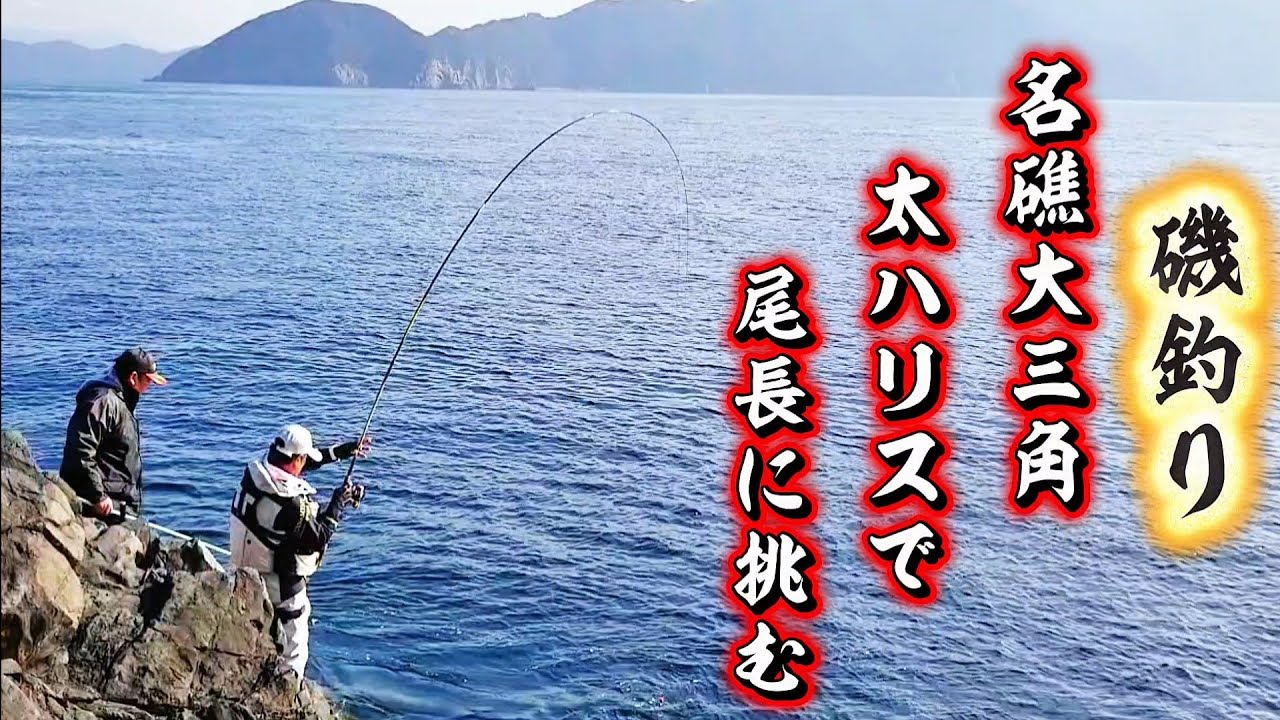 【四国西南部】中泊　名礁大三角‼️水中映像あり